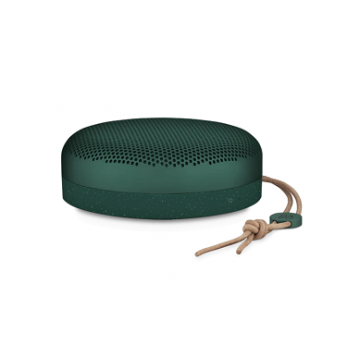 Beoplay A1  Pine Limited Edition